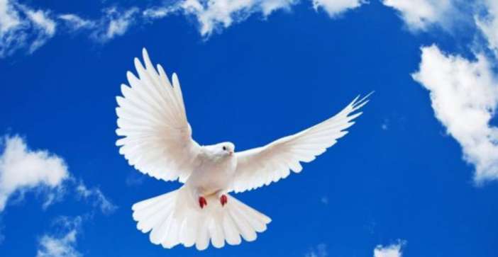 Read more about the article ΑΡΓΙΑ ΑΓ.ΠΝΕΥΜΑΤΟΣ