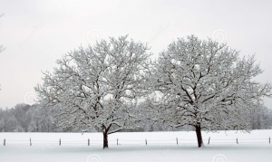 Read more about the article Ακύρωση μαθημάτων